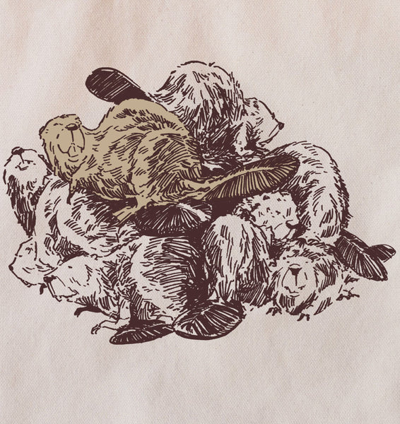 Beaver Lodge