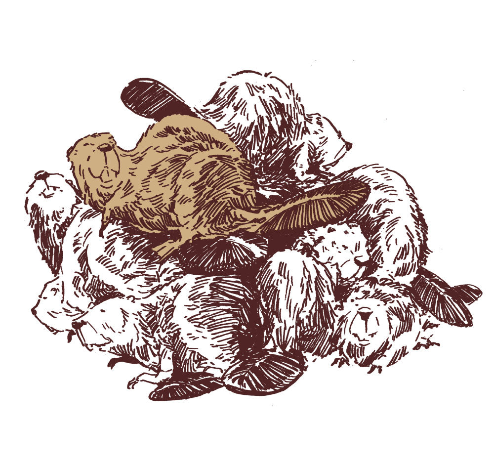 Beaver Lodge (poster)