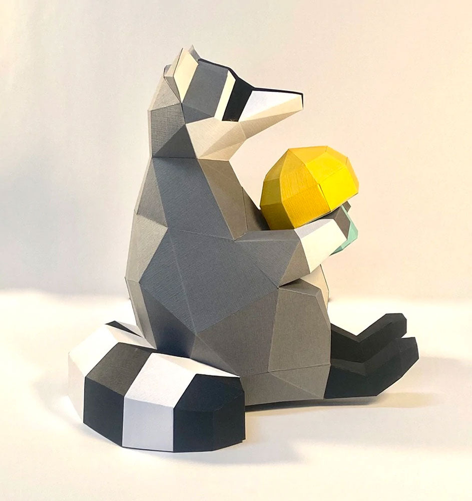 Trousse de raton laveur