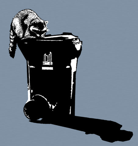 Raccoon
