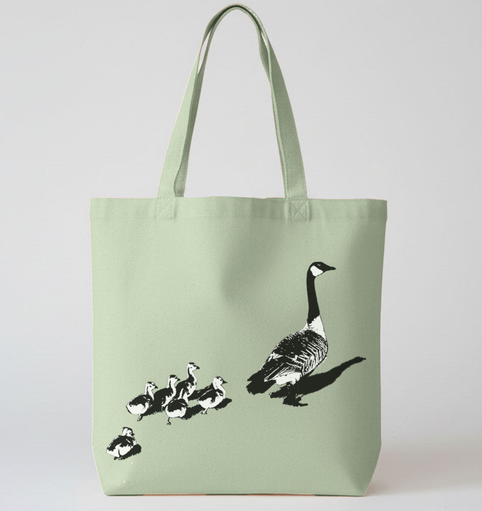 Canada Geese