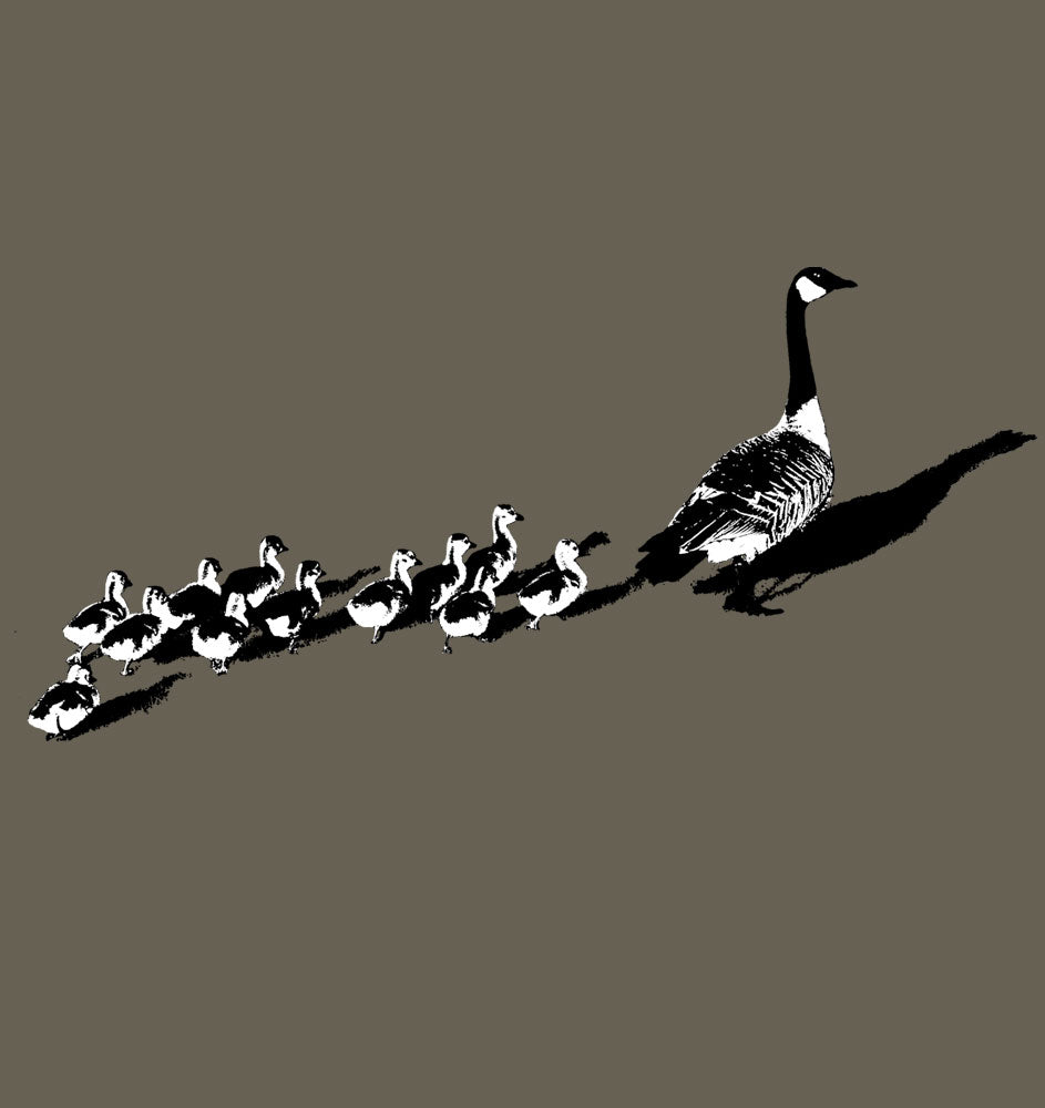 Canada Geese (kids)