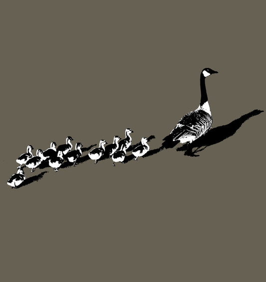 Canada Geese (kids)