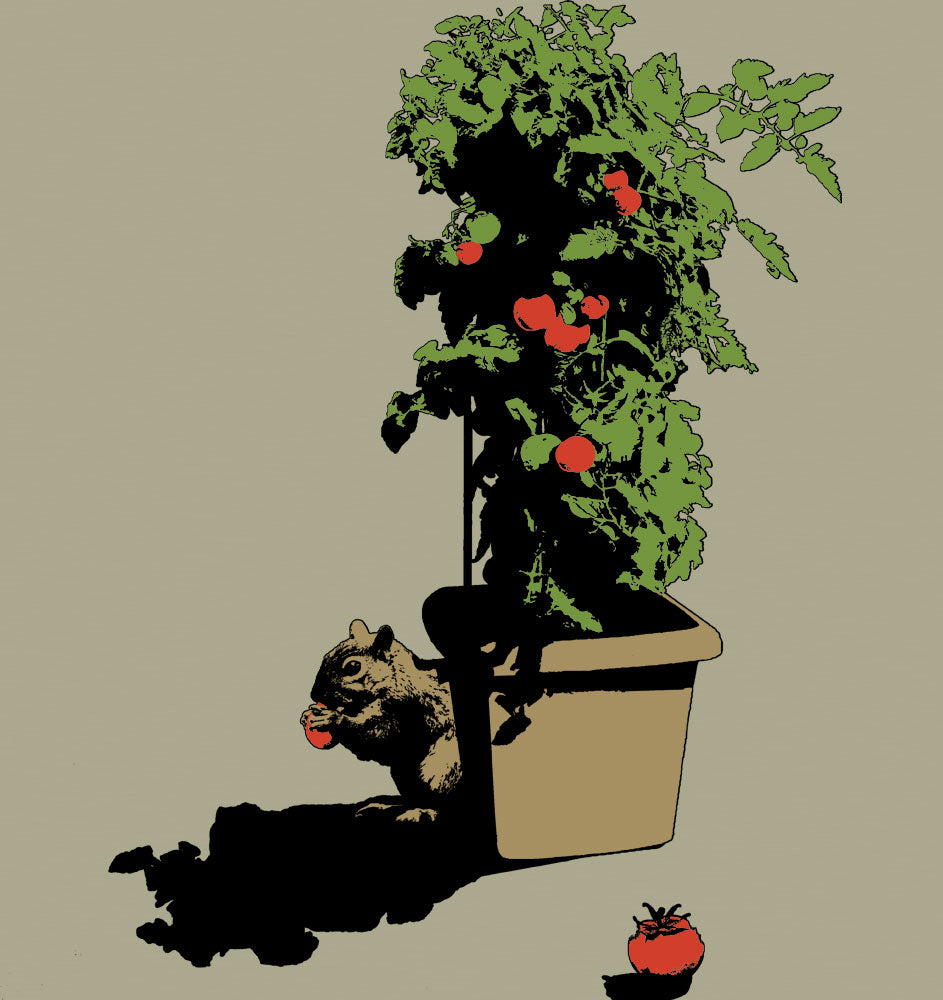 Harvest