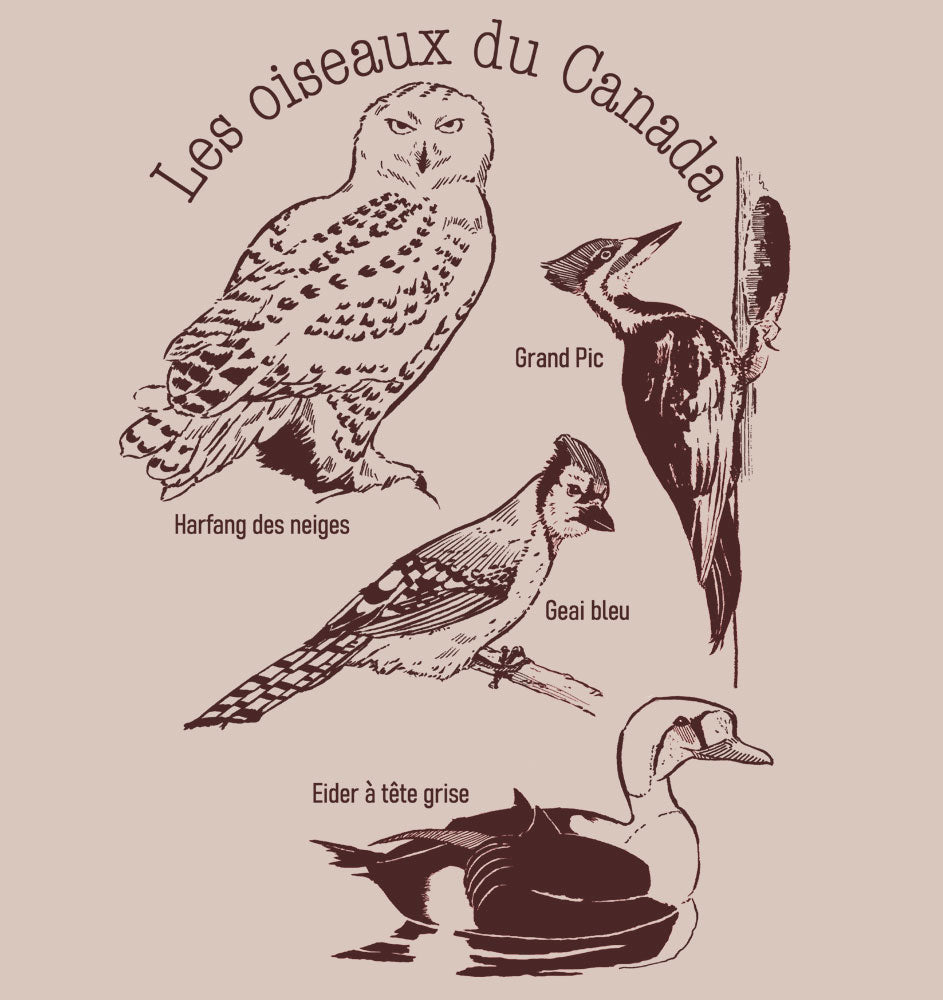 Les oiseaux du Canada