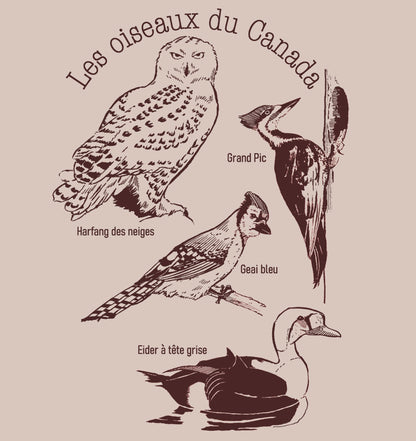 Les oiseaux du Canada