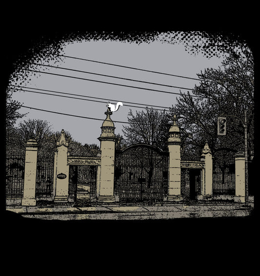 The White Squirrel of Trinity Bellwoods