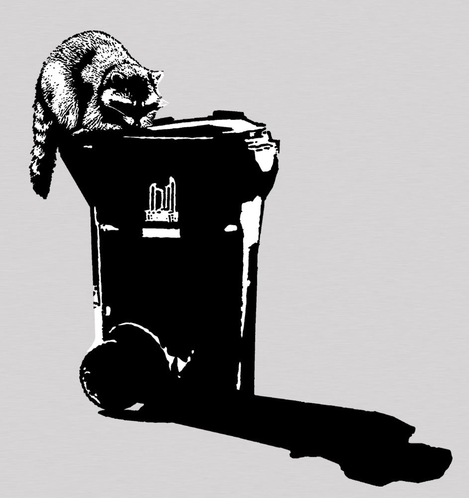 Raton laveur (sweat à capuche) 