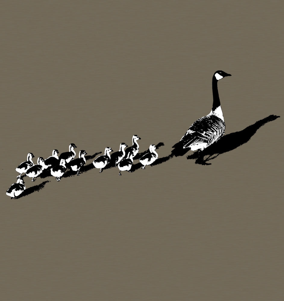 Canada Geese