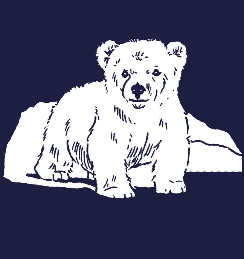 Polar Bear Cub (kids)