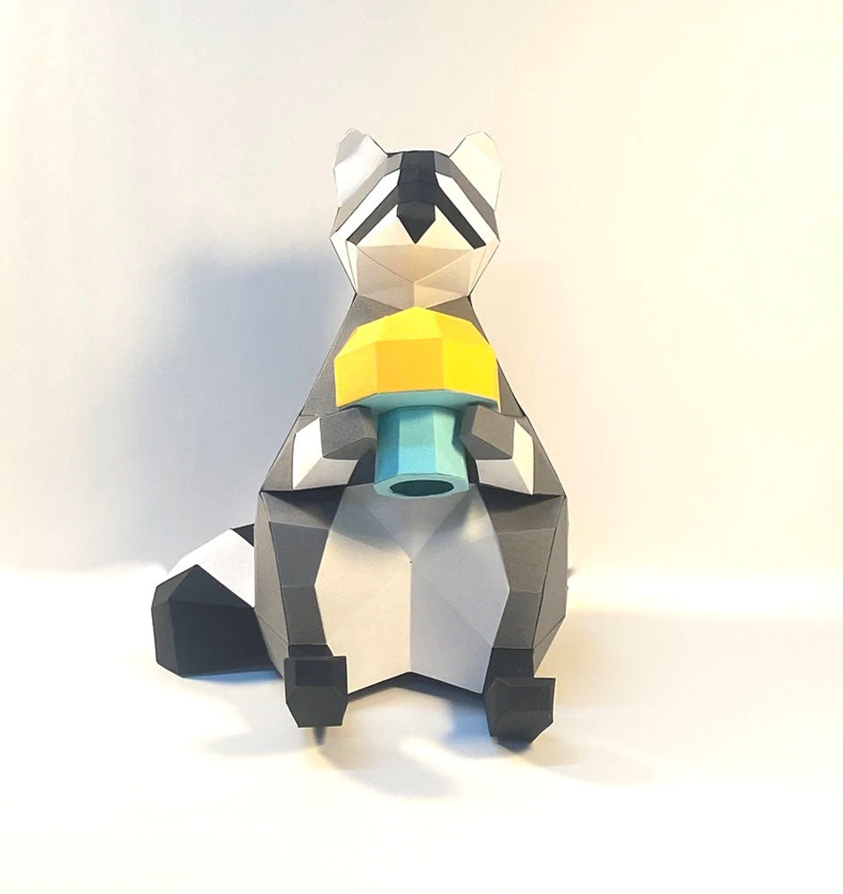 Trousse de raton laveur