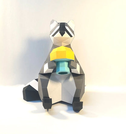 Trousse de raton laveur