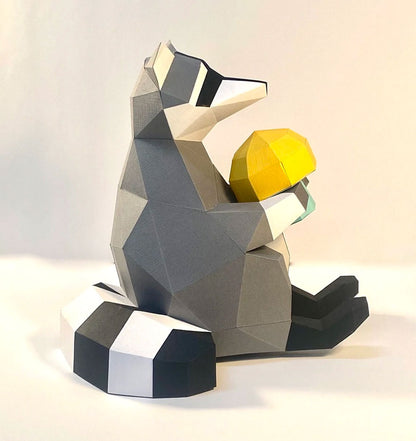 Trousse de raton laveur